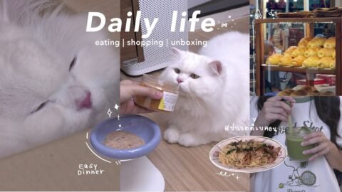 Daily life with Chunchun 🐈 First Vlog: Feeding, Unboxing, Making Matcha & Cooking Spaghetti