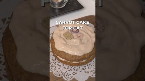 Carrot Cake For Cat 🥕#carrotcake #เค้ก