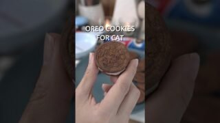 บิด ชิมครีม จุ่มนม 🍪🥛💦