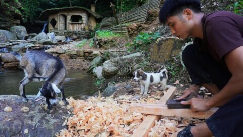 Full Video: 30 Days of Building a Wood Shop. Living Alone in the jungle with a Baby Goat and a Puppy