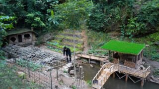 Building an Arched Trellis for Chayote Vines | Collecting Wild Honey to Make Cake