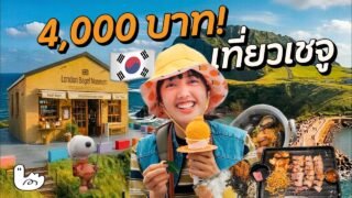 เชจูครั้งแรก! งบหลักพัน รอดไม่รอด?! อัปเดต 2025