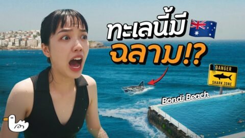 ถิ่นฉลามกัดคน มีจริงหรอ?! | ออสเตรเลีย