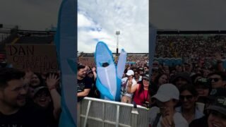 an ode to the sharks of #LOOMTour 🦈