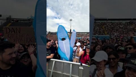 an ode to the sharks of #LOOMTour 🦈