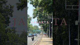 BLACKPINK WORLD TOUR [DEADLINE] IN JAKARTA 🌴 #BLACKPINK #WORLDTOUR #DEADLINE #DEADLINE_IN_JAKARTA