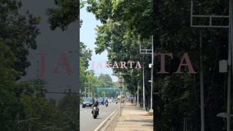 BLACKPINK WORLD TOUR [DEADLINE] IN JAKARTA 🌴 #BLACKPINK #WORLDTOUR #DEADLINE #DEADLINE_IN_JAKARTA