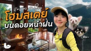 9 กิโล เส้นทางเดินป่ากับหมา ไปนอนโฮมสเตย์กลางดอยเชียงใหม่
