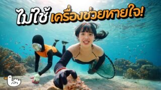 ตามติดมนุษย์พันธุ์ใหม่ แฮนยอ อาชีพที่กำลังหายไป! | เซจู เกาหลี