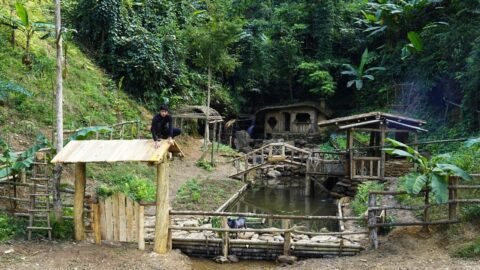 Build a gate and fence for the Bushcraft farm deep in the woods. Trap wild chickens and cook them.