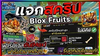 แจกสคริป Blox Fruits มือถือล่าสุด อัปเดตใหม่ ออโต้ฟาร์มเวล ฟามมาสดาบ ทำดาบคู่! [ไม่มีคีย์]🐯
