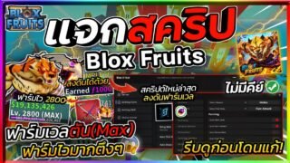 แจกสคริป Blox Fruits มือถือล่าสุด อัปเดตใหม่ ออโต้ฟาร์มเวล ลงดัน ฟามกระดูก ฟังชั่นครบ [ไม่มีคีย์]🐯