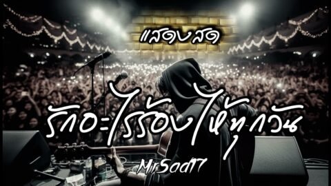 รักอะไรร้องไห้ทุกวัน – MrSad17 (Ver.live) แสดงสด