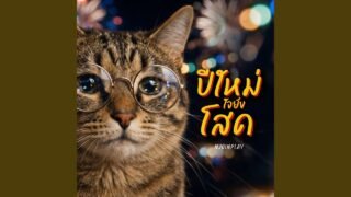 ปีใหม่ใจยังโสด