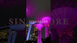 BLACKPINK WORLD TOUR [DEADLINE] IN SINGAPORE 🌸 #BLACKPINK #WORLDTOUR #DEADLINE_IN_SINGAPORE