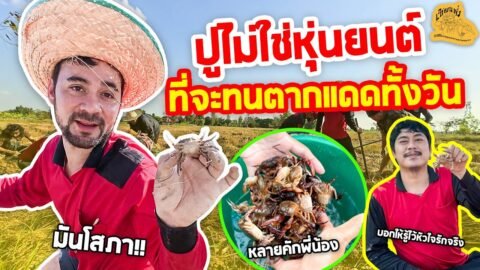 เซียนหรั่ง – วิถีชีวิตแบบมะลายยายอยาก l ตอน ปูไม่ใช่หุ่นยนต์ ที่จะทนตากแดดทั้งวัน