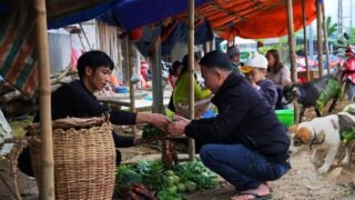 Together with dog LU and goat BE, we harvest vegetables and smoked meat to sell at the market.