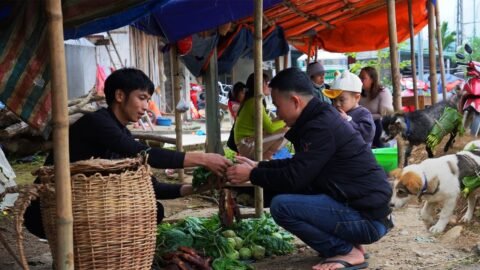 Together with dog LU and goat BE, we harvest vegetables and smoked meat to sell at the market.
