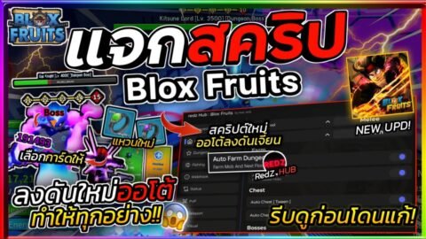 แจกสคริป Blox Fruits มือถือ อัปเดตใหม่ ออโต้ลงดันเจี้ยน ไปชั้นถัดไป เลือกการ์ด ตีโคตรไว [RedZ HUB]🔥
