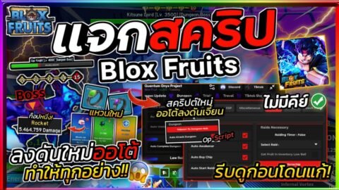 แจกสคริป Blox Fruits มือถือ อัปเดตใหม่ ออโต้ลงดันเจี้ยน ไปชั้นถัดไป ตีโคตรไว โกงมาก [ไม่มีคีย์]🌐