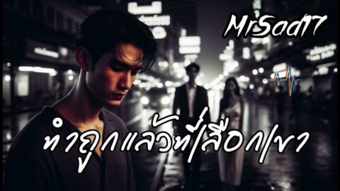 ทำถูกแล้วที่เลือกเขา – MrSad17 (Official Audio)