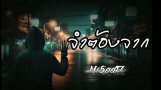จำต้องจาก – MrSad17 (Official Audio)