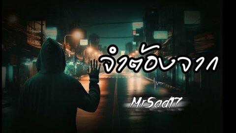 จำต้องจาก – MrSad17 (Official Audio)