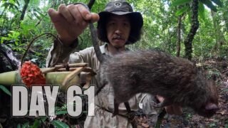 เอาชีวิตรอด DAY 61 ได้หนูตัวใหญ่มาย่างกิน…!! [ โจโฉ ]