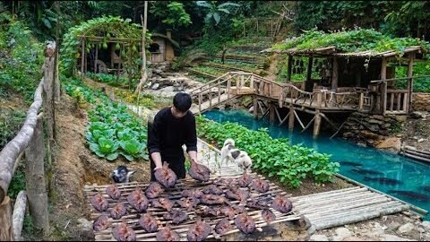 Catching Fish and Making Smoked Fish to Trade for Ducklings | Off-Grid Life