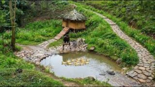 Building a Circular Fish Pond for Ducks | Catching Fish in Dry Streams | Off-Grid Life