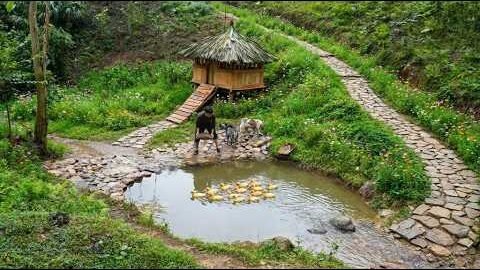Building a Circular Fish Pond for Ducks | Catching Fish in Dry Streams | Off-Grid Life