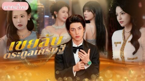 เขยลับตระกูลเศรษฐี：ทายาทเศรษฐีแฝงตัวเป็นเขย หนุนภรรยาขึ้นสูง วันหนึ่งเขากลับยืนจุดสูงสุดของโลก