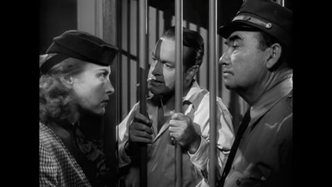 Bob Hope’s Funniest Noir – My Favorite Brunette (1947) 🎬 – 2026 Refurbished Full Movie