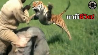 รวมเหตุการณ์ระทึก วินาทีชีวิต!