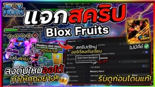 แจกสคริป Blox Fruits มือถือ อัปเดตใหม่ ออโต้ฟามมาส ลงดันเจี้ยนใหม่ ไปชั้นถัดไป ตีโคตรไว [ไม่มีคีย์]🔥