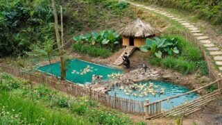 Finishing the Duck Pen with Two Fish Ponds | Building a Self-Sufficient Bushcraft Farm in the Forest