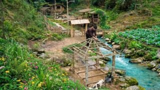 Off-Grid Life at a Farm by the Waterfall | Finishing the Shelter Frame for Ducklings
