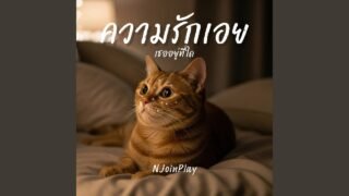 ความรักเอย