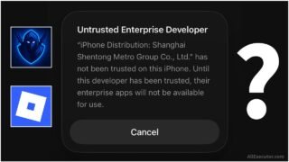 [Delta iOS] How To Fix ‘Untrusted Enterprise Developer’ Error | Delta App Untrusted App Solution