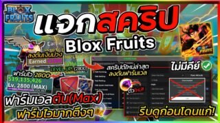 แจกสคริป Blox Fruits มือถือ Gavity HUB ตัวใหม่ ออโต้ฟาร์มเวล ลงดัน ฟาร์มาสเตอรี่ [ไม่มีคีย์]🔥⚔️