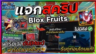 แจกสคริปทำไก่ตัน Blox Fruits มือถือ ใหม่ล่าสุด ออโต้ฟาร์มเวลตัน สุ่มผลปีศาจ ทำดาบคู่ [ไม่มีคีย์]🔥