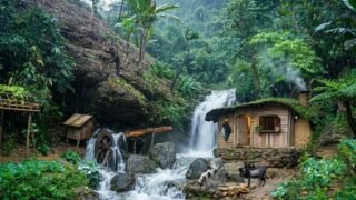 Expanding My Bushcraft Farm | Finding Bamboo Shoots to Cook on a Rainy Day