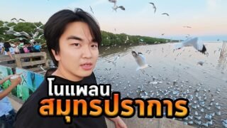 สมุทรปราการโนแพลนมันทำผมเซอร์ไพรส์สุดๆ