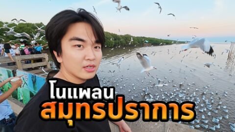 สมุทรปราการโนแพลนมันทำผมเซอร์ไพรส์สุดๆ