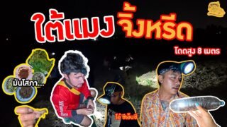 เซียนหรั่ง – วิถีชีวิตแบบมะลายยายอยาก l ตอน ใต้แมง จิ้งหรีด