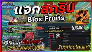 แจกสคริป Blox Fruits มือถือ อัปเดตใหม่ ออโต้ฟาร์มเลเวล ลงดัน ฟามมาส ฟามกระดูก,เค้ก [ไม่มีคีย์]🌊