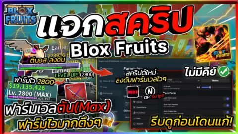 แจกสคริป Blox Fruits มือถือ อัปเดตใหม่ ออโต้ฟาร์มเลเวล ลงดัน ฟามมาส ฟามกระดูก,เค้ก [ไม่มีคีย์]🌊