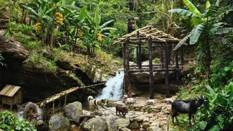 Finishing the Bushcraft House Frame by the Waterfall | Off-Grid Living with Pets
