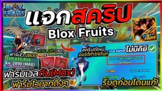 แจกสคริปทำไก่ตัน Blox Fruits มือถือ ใหม่ล่าสุด ออโต้ฟาร์มเวลตัน ทำหมัด 6 หมัด ทำดาบคู่ [ไม่มีคีย์]🔥