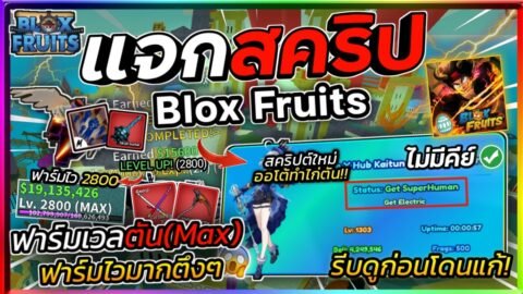 แจกสคริปทำไก่ตัน Blox Fruits มือถือ ใหม่ล่าสุด ออโต้ฟาร์มเวลตัน ทำหมัด 6 หมัด ทำดาบคู่ [ไม่มีคีย์]🔥